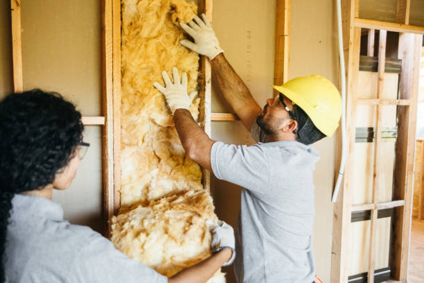 Best Residential Insulation Services  in Drexel, NC